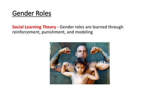 Gender Roles
Social Learning Theory - Gender roles are learned through
reinforcement, punishment, and modeling
 