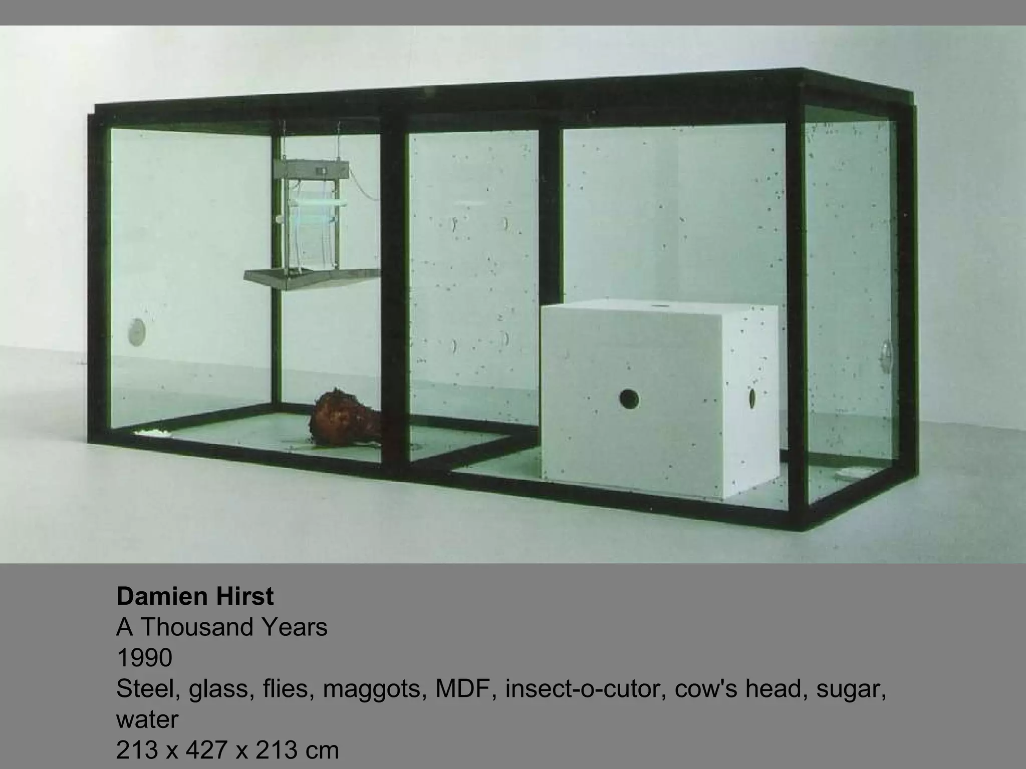 Damien Hirst A Thousand Years 1990 Steel, glass, flies, maggots, MDF, insect-o-cutor, cow's head, sugar, water 213 x 427 x 213 cm 