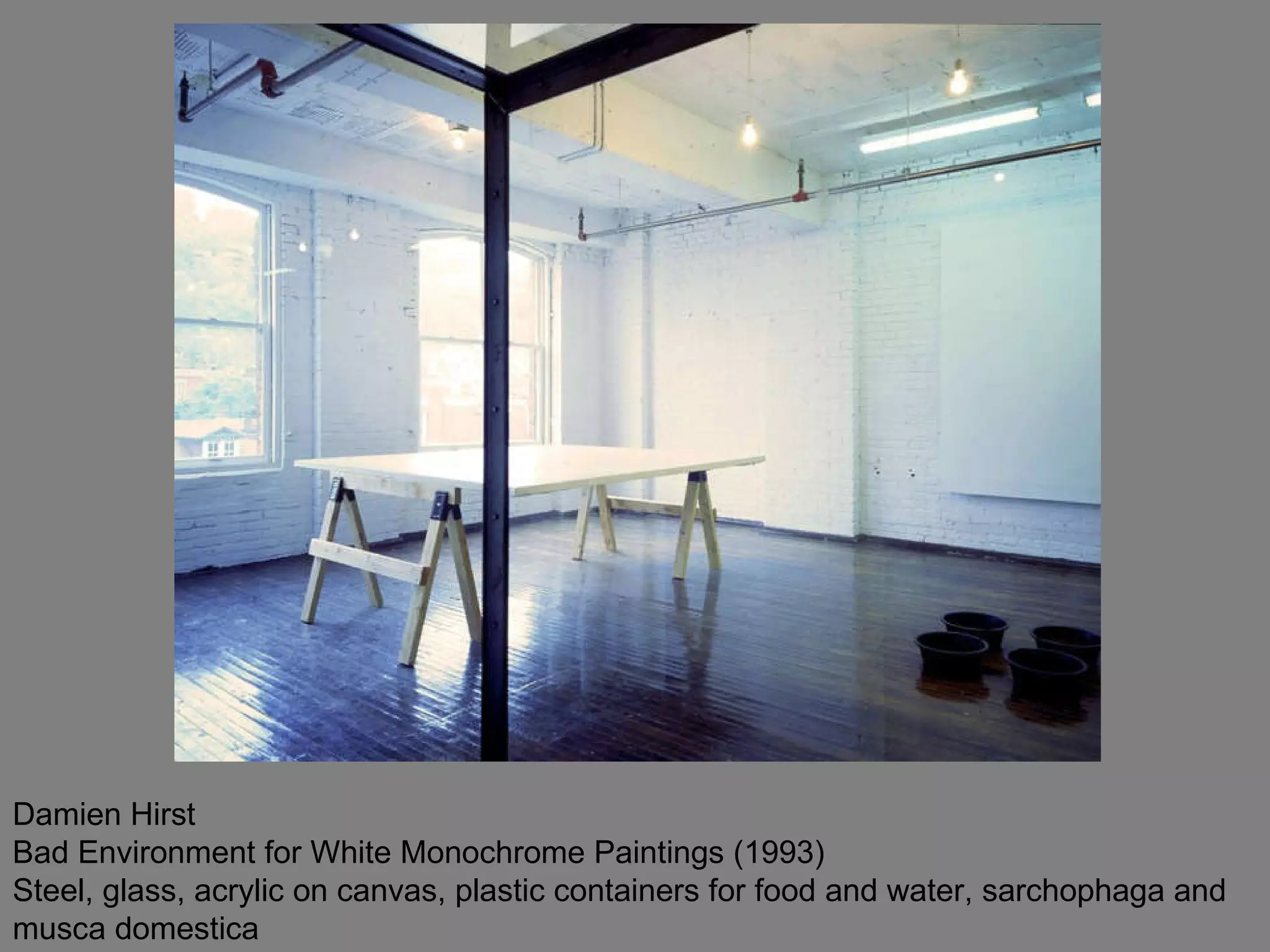 Damien Hirst Bad Environment for White Monochrome Paintings (1993) Steel, glass, acrylic on canvas, plastic containers for food and water, sarchophaga and musca domestica   