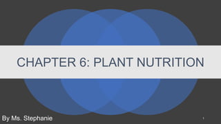 CHAPTER 6: PLANT NUTRITION
1
By Ms. Stephanie
 