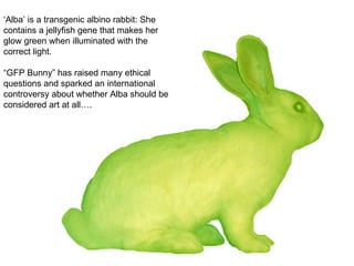 Alba Rabit Week1 Art or Not | PPT