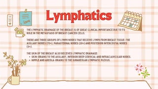 Lymphatics
Lymphatics
The lymphatic drainage of the breast is of great clinical importance due to its
role in the metastasis of breast cancer cells.
There are three groups of lymph nodes that receive lymph from breast tissue–the
axillary nodes (75%), parasternal nodes (20%) and posterior intercostal nodes
(5%).
The skin of the breast also receives lymphatic drainage:
Skin–drains to the axillary, inferior deep cervical and infraclavicular nodes.
Nipple and areola–drains to the subareolar lymphatic plexus.
 