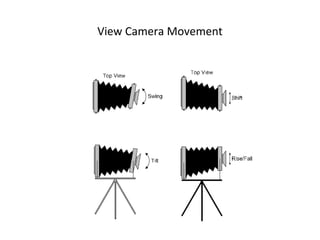 View Camera Movement
 