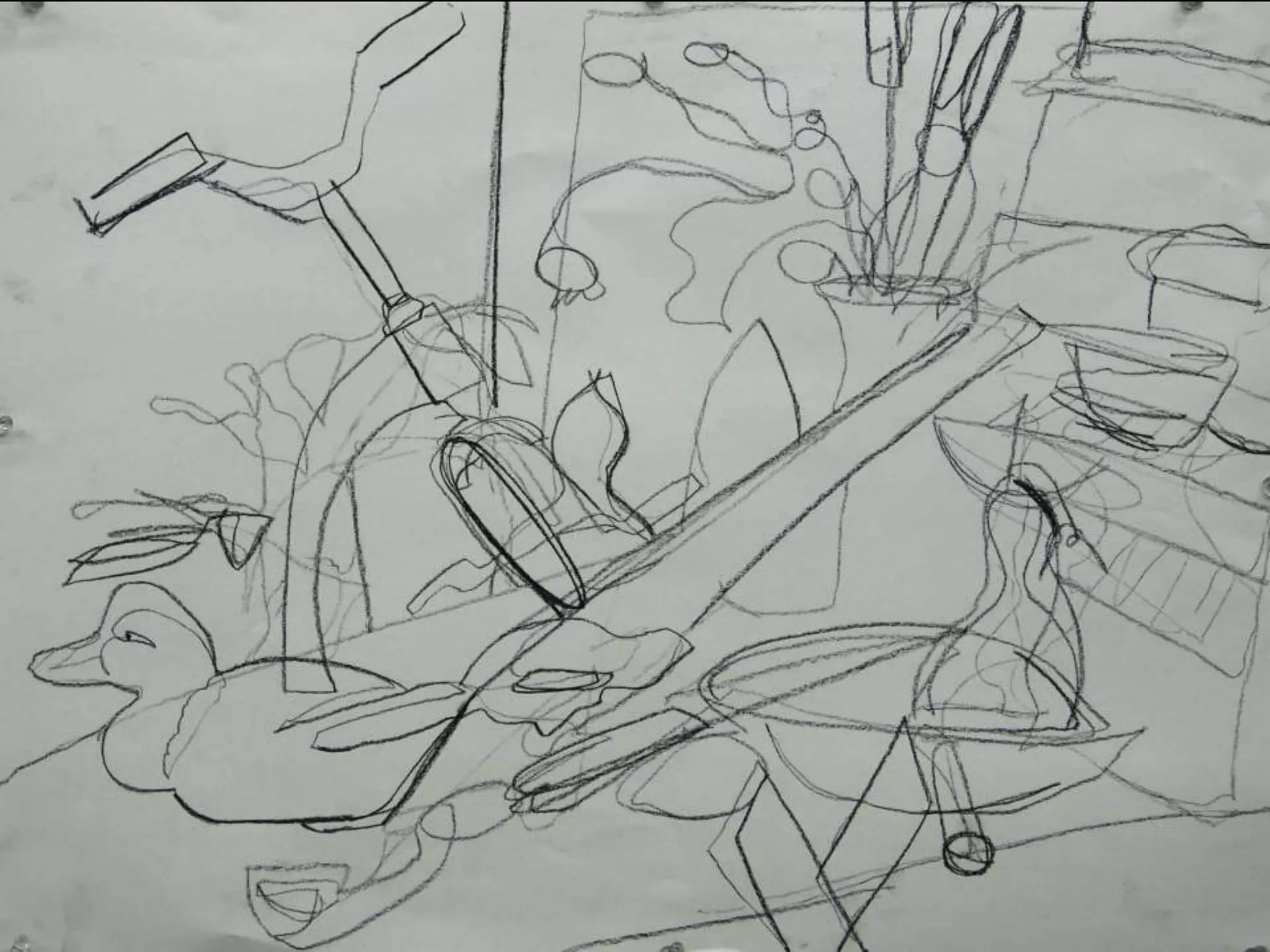 Week 1 contour_lines