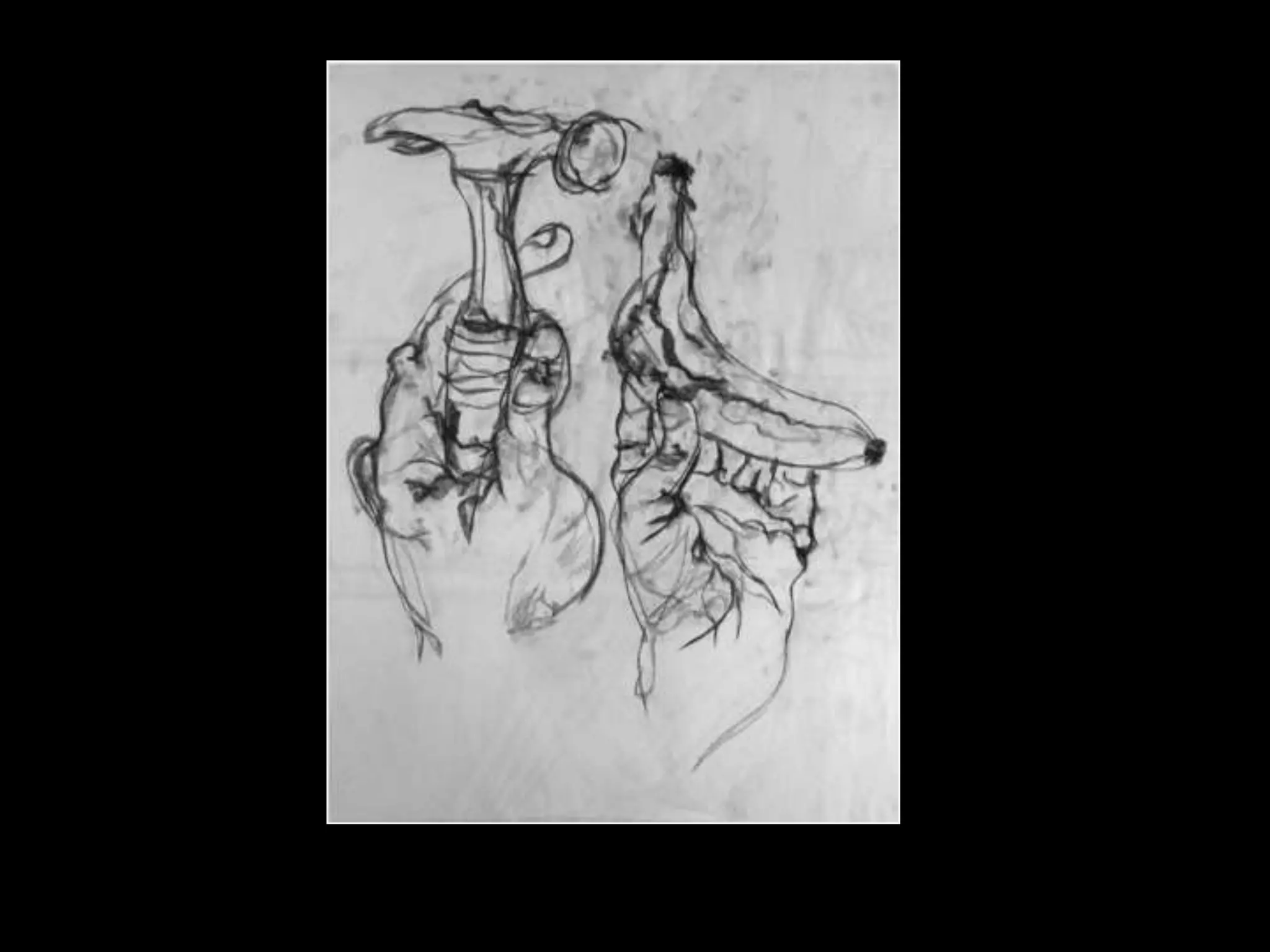 Week 1 contour_lines