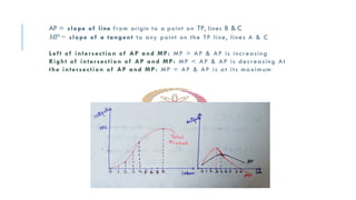 Comprehensive Analysis of Elasticity, Production, and Supply in ...