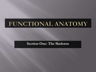 Section One: The Skeleton
 