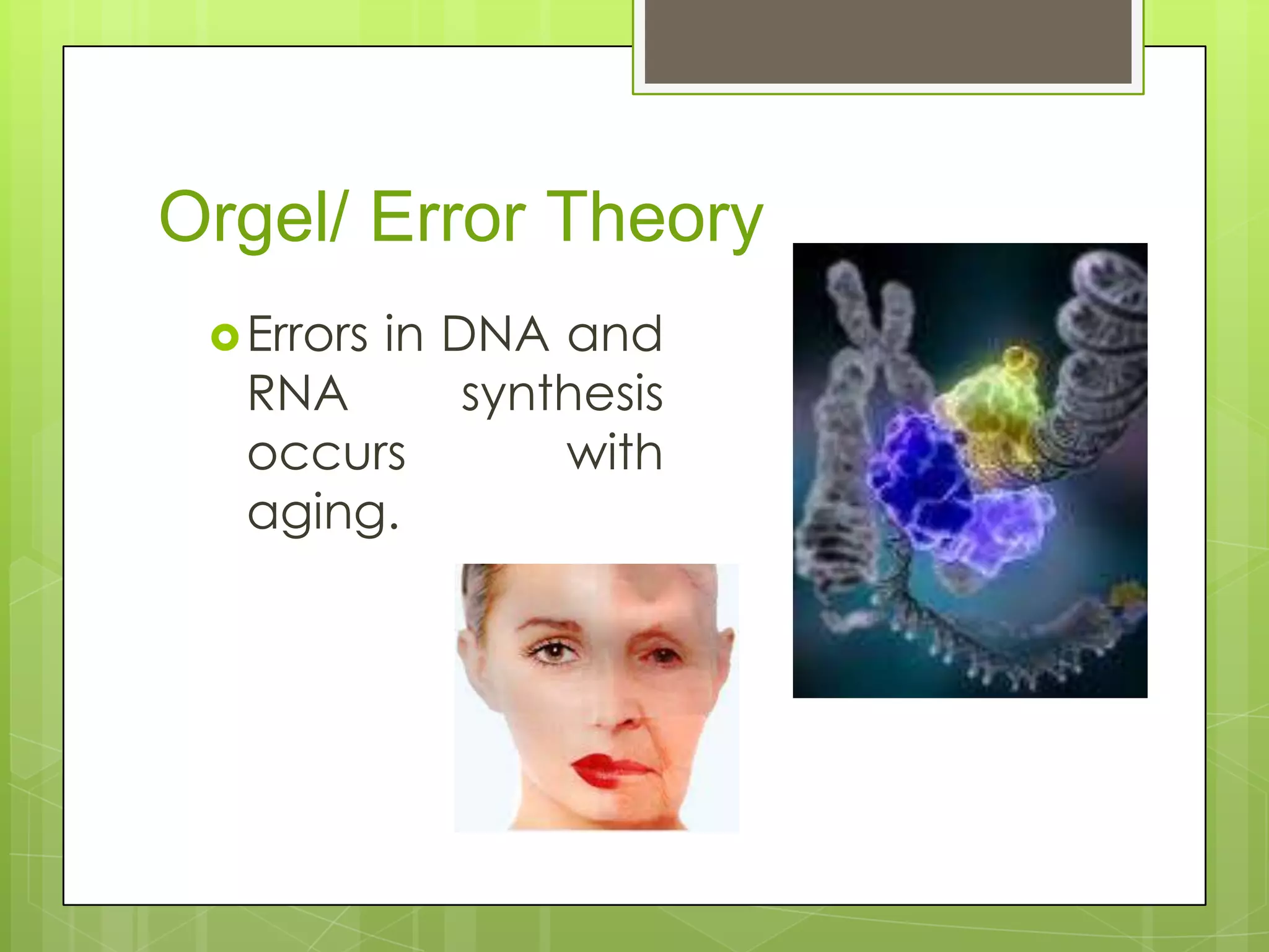 Orgel/ Error Theory
  Errors
       in DNA and
  RNA      synthesis
  occurs       with
  aging.
 