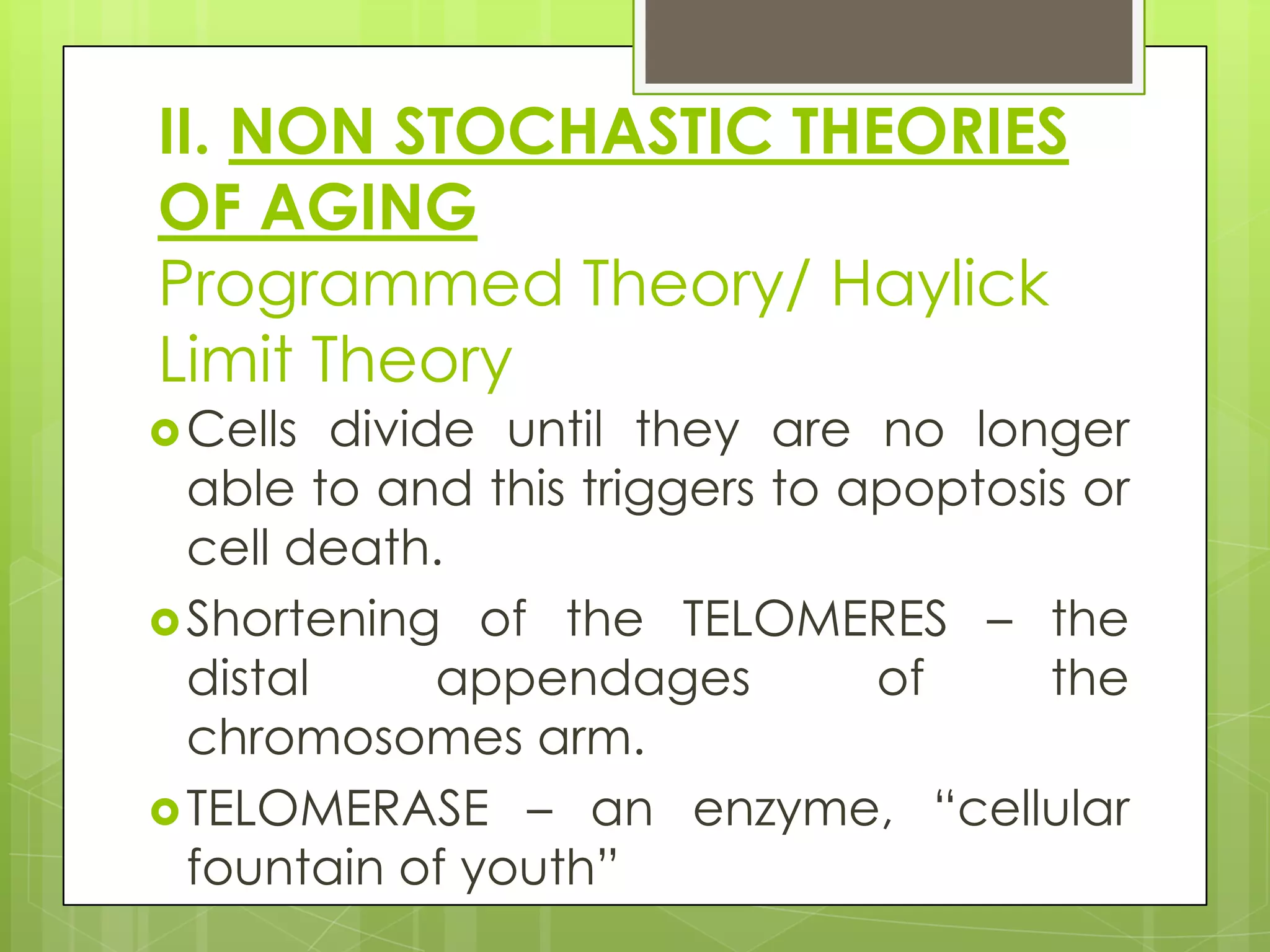 II. NON STOCHASTIC THEORIES
OF AGING
Programmed Theory/ Haylick
Limit Theory
 Cells  divide until they are no longer
  able to and this triggers to apoptosis or
  cell death.
 Shortening of the TELOMERES – the
  distal      appendages        of     the
  chromosomes arm.
 TELOMERASE – an enzyme, “cellular
  fountain of youth”
 