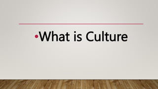 •What is Culture
 