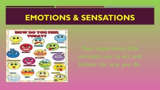 EMOTIONS & SENSATIONS
Your experience that
prompts you to act and
behave the way you do.
 