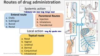 Comprehensive Overview of Drug Administration Routes and Their Clinical ...