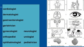 cardiologist
dermatologist
gastroenterologist
geriatrician
gynecologist neurologist
orthopedist urologist
ophthalmologist pediatrician
 