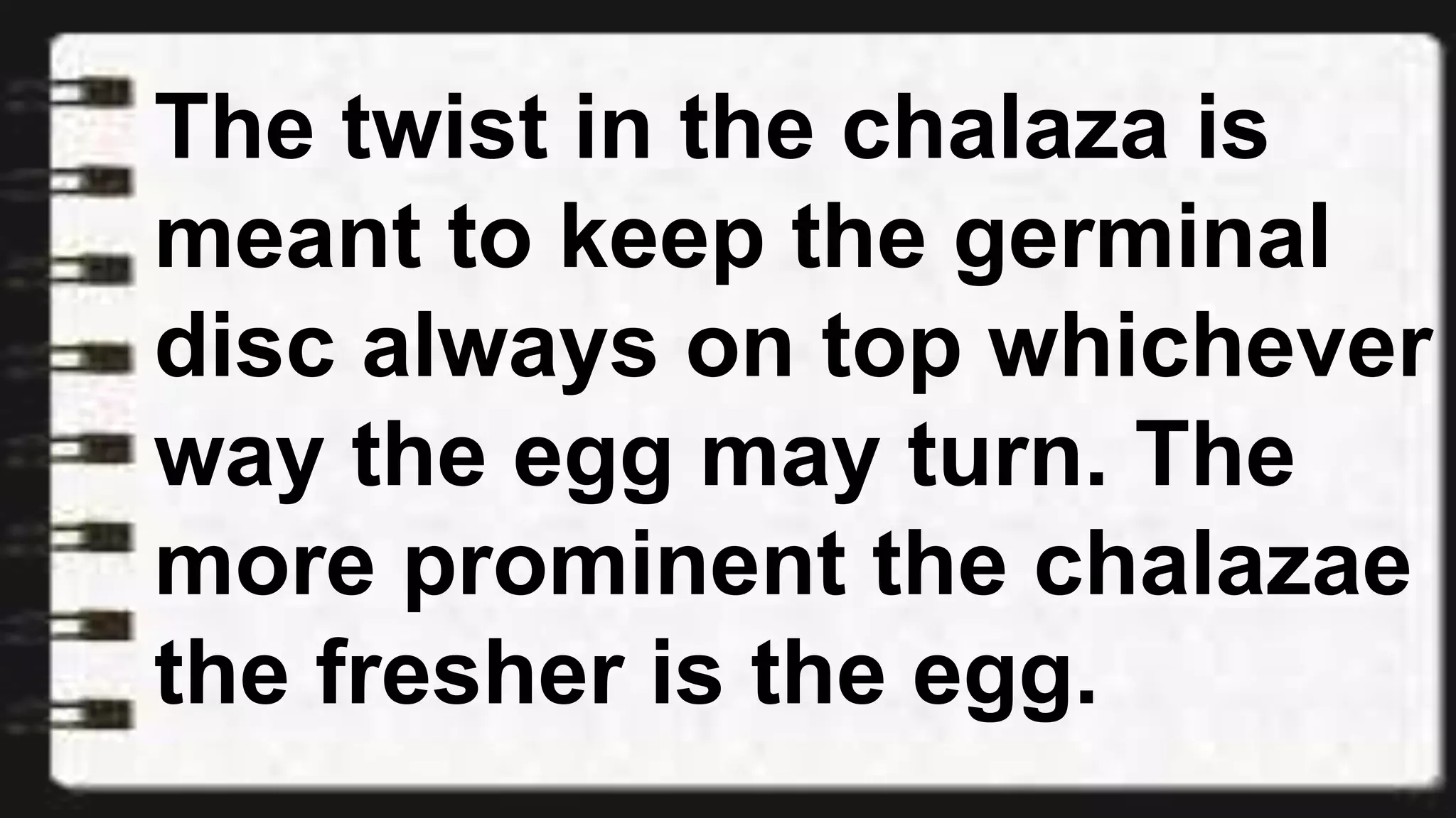 The twist in the chalaza is
meant to keep the germinal
disc always on top whichever
way the egg may turn. The
more prominent the chalazae
the fresher is the egg.
 