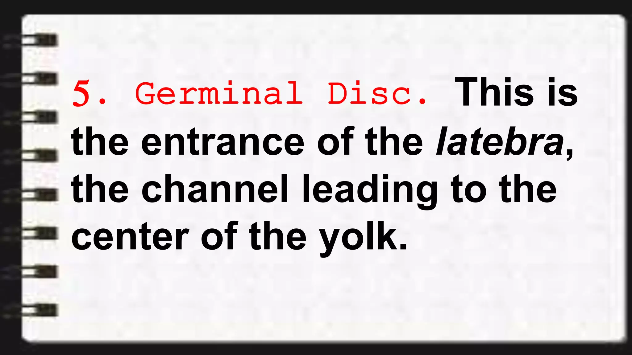 5. Germinal Disc. This is
the entrance of the latebra,
the channel leading to the
center of the yolk.
 