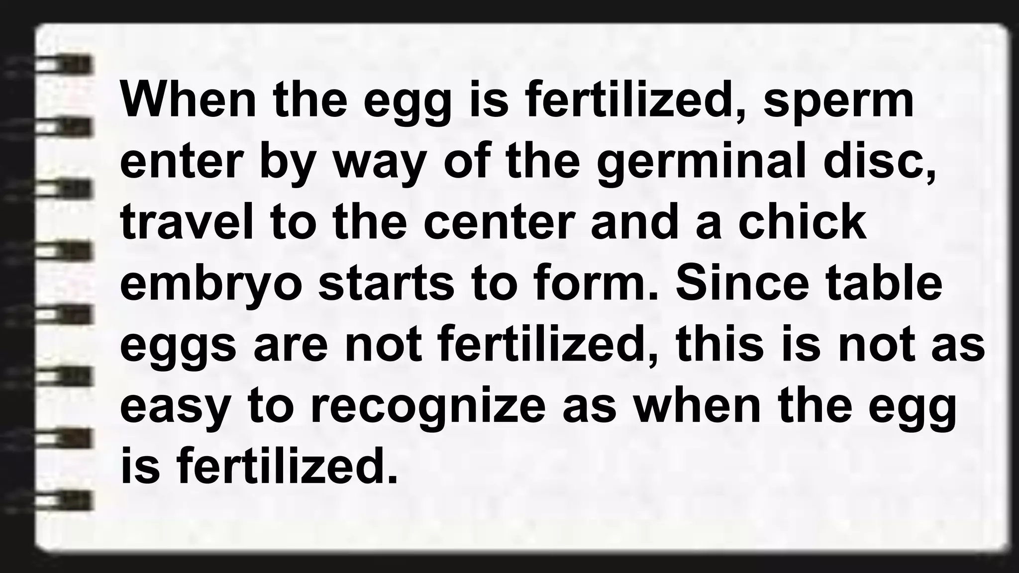When the egg is fertilized, sperm
enter by way of the germinal disc,
travel to the center and a chick
embryo starts to form. Since table
eggs are not fertilized, this is not as
easy to recognize as when the egg
is fertilized.
 