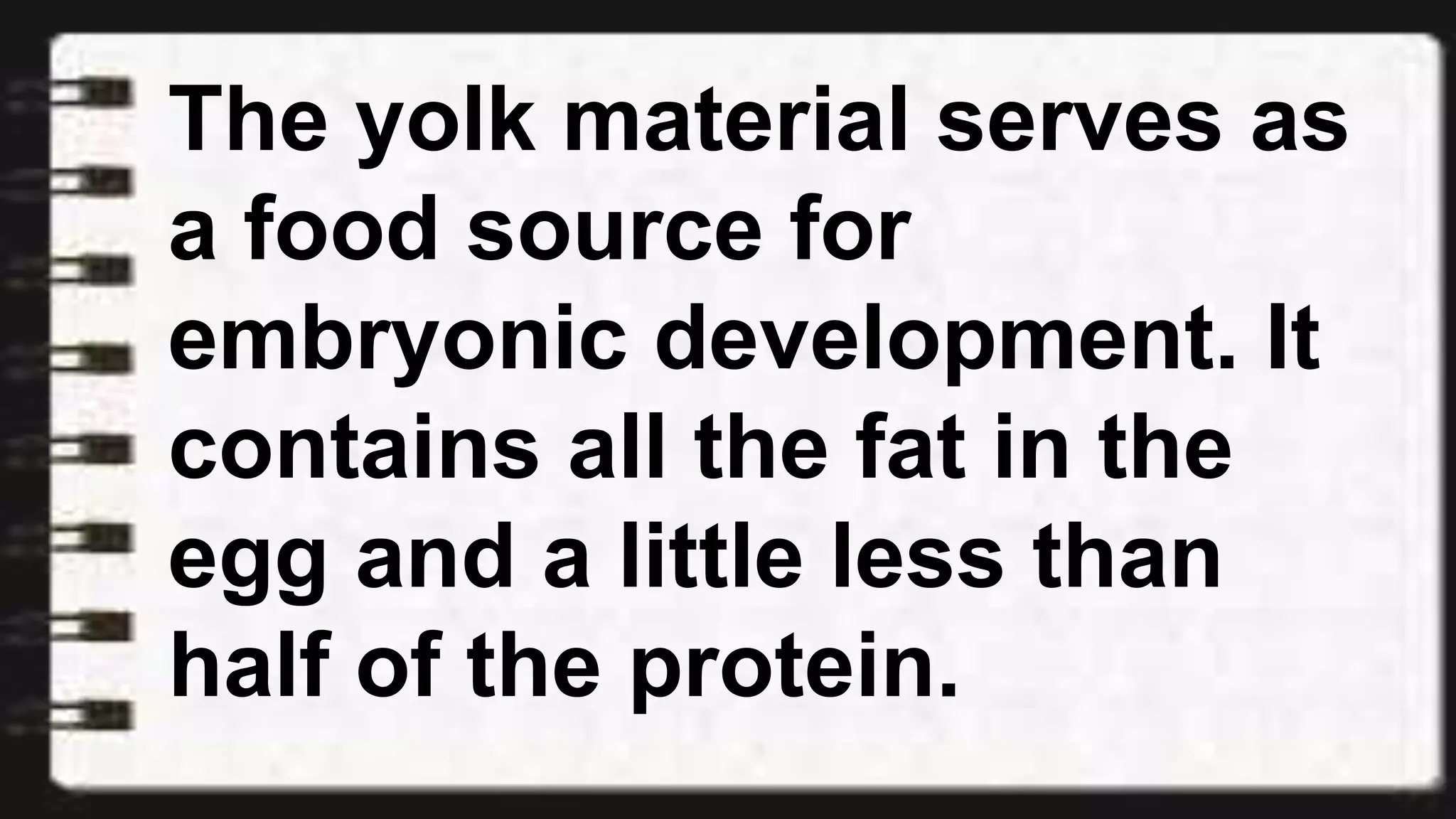The yolk material serves as
a food source for
embryonic development. It
contains all the fat in the
egg and a little less than
half of the protein.
 
