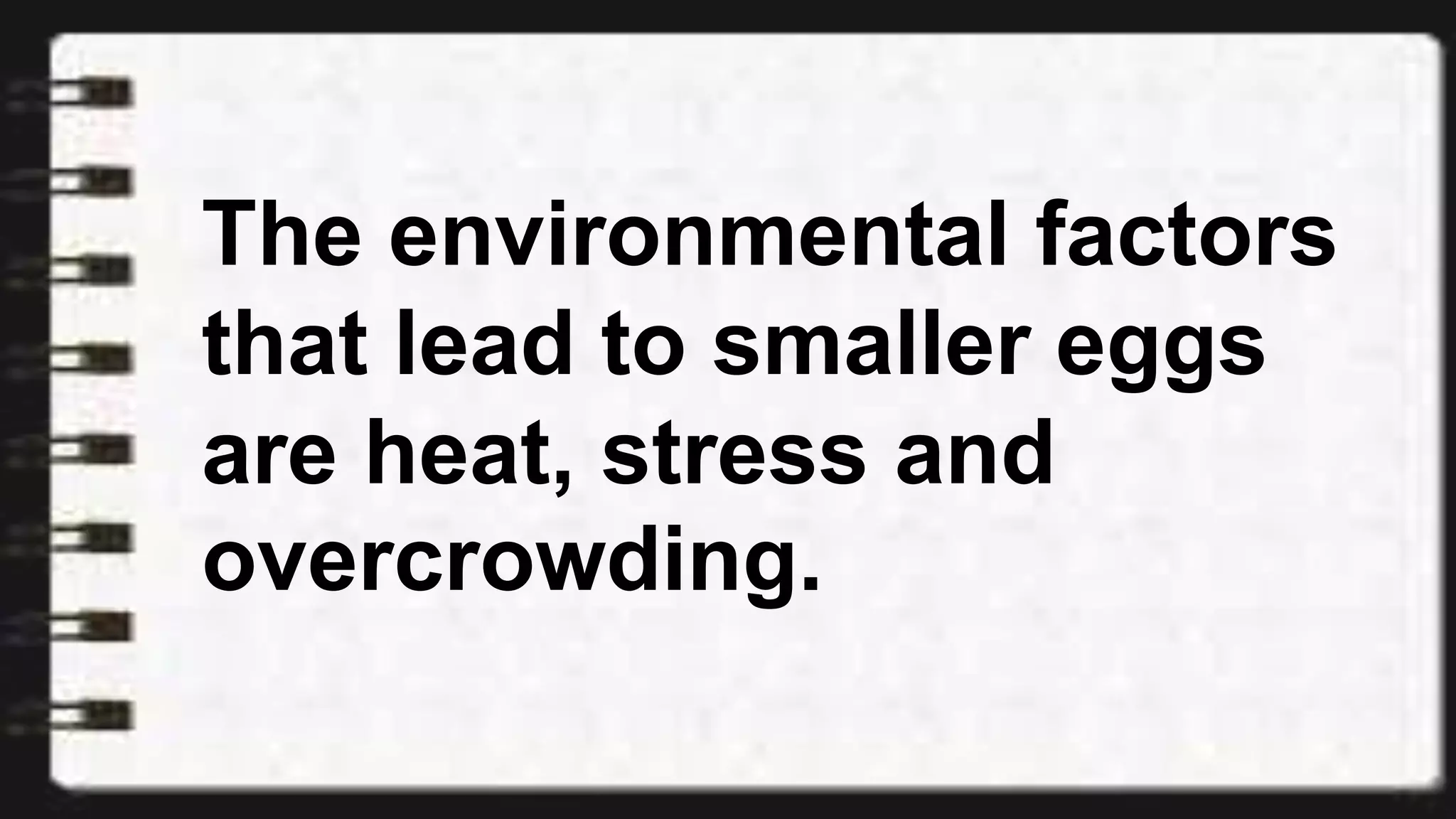The environmental factors
that lead to smaller eggs
are heat, stress and
overcrowding.
 