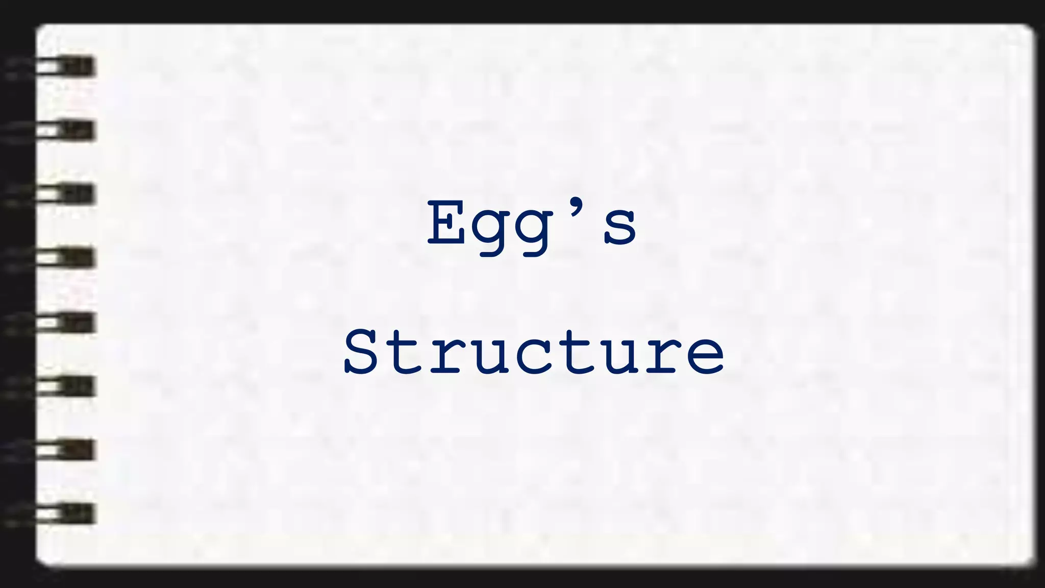 Egg’s
Structure
 