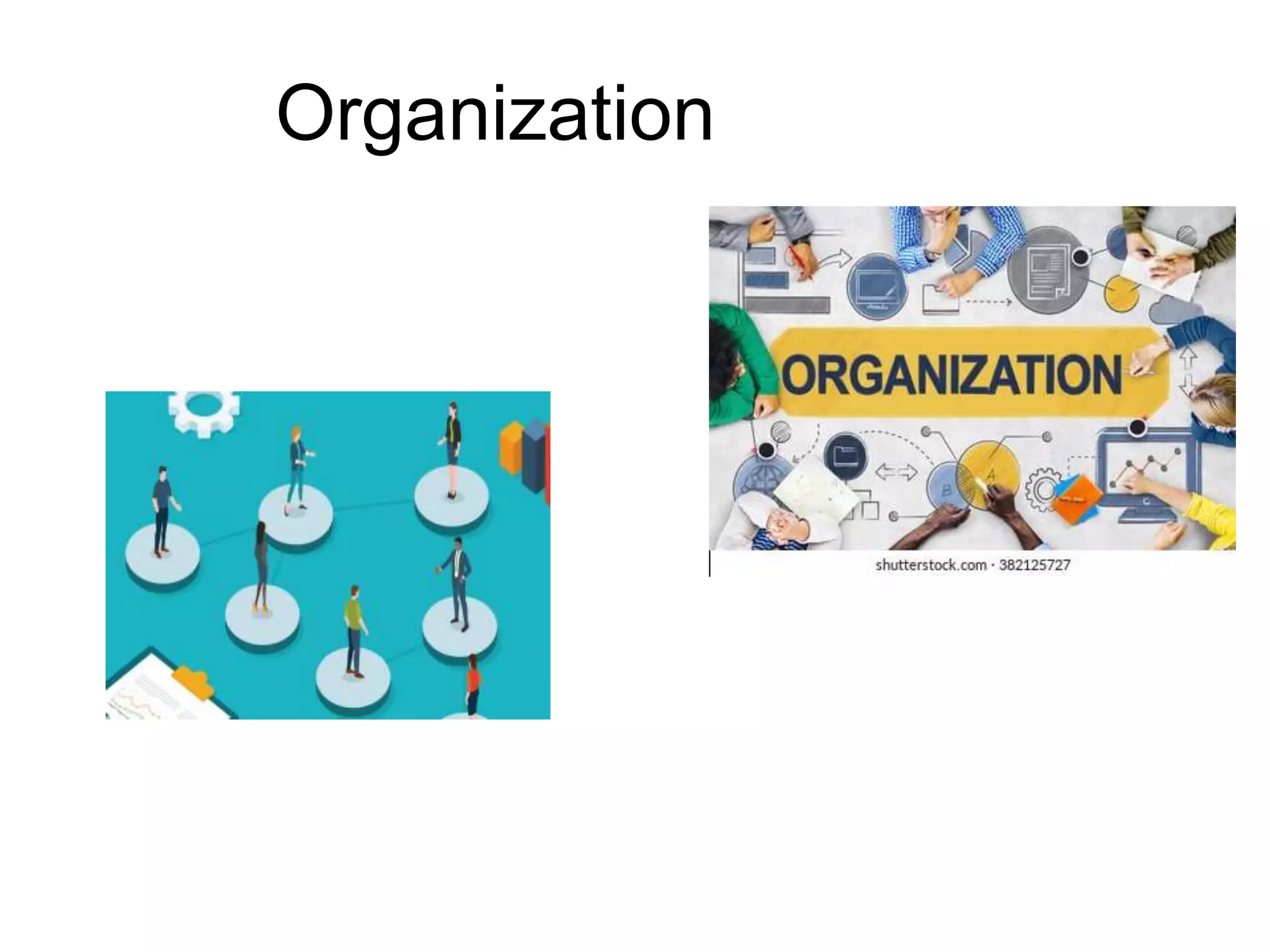 Organization
 