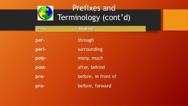 prefix syn prefix syn