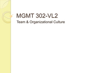 MGMT 302-VL2
Team & Organizational Culture
 