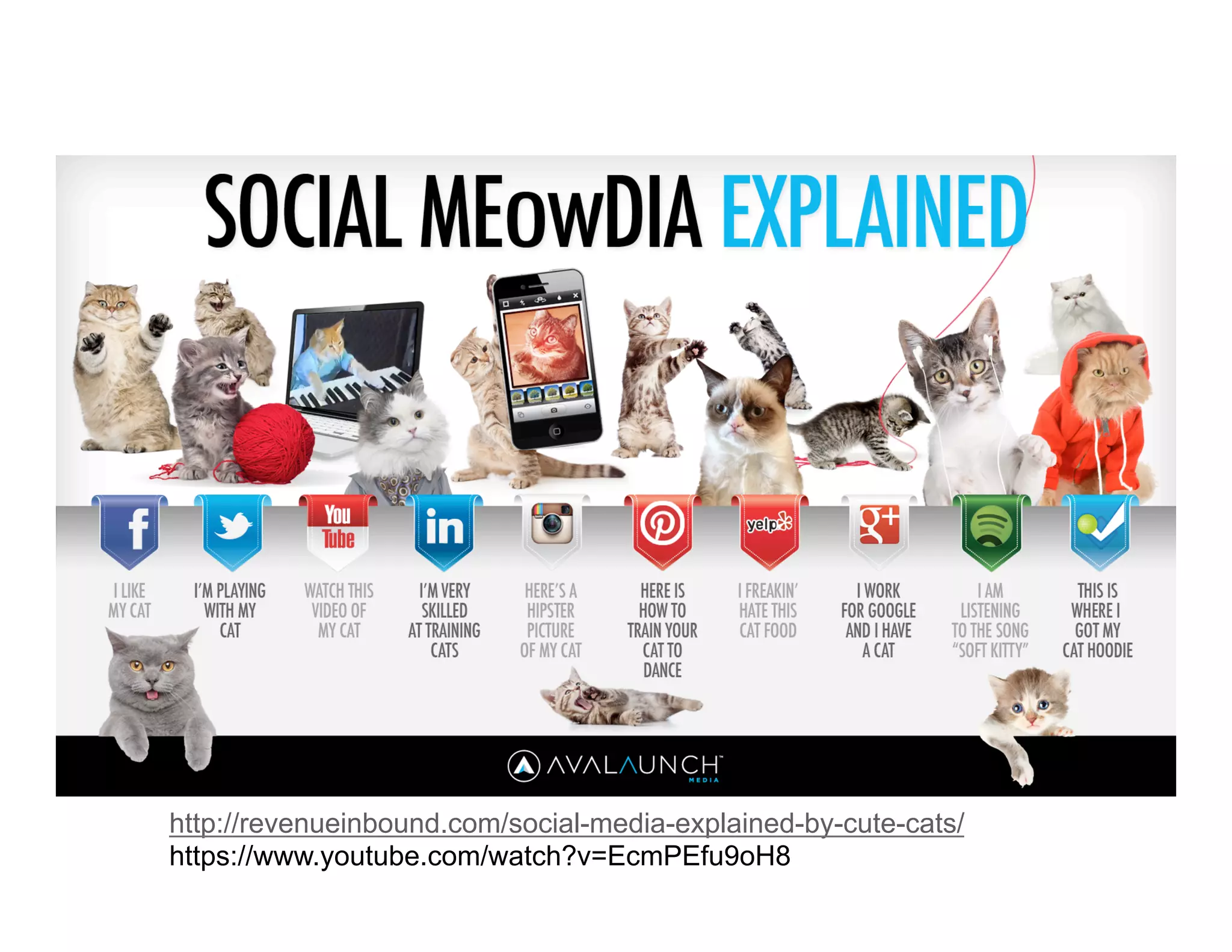http://revenueinbound.com/social-media-explained-by-cute-cats/ 
https://www.youtube.com/watch?v=EcmPEfu9oH8 
 