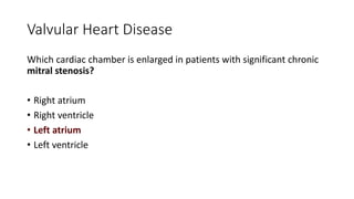 Valvular Heart Disease
Which cardiac chamber is enlarged in patients with significant chronic
mitral stenosis?
• Right atrium
• Right ventricle
• Left atrium
• Left ventricle
 