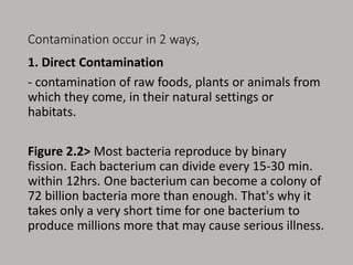 Contamination occur in 2 ways,
1. Direct Contamination
- contamination of raw foods, plants or animals from
which they come, in their natural settings or
habitats.
Figure 2.2> Most bacteria reproduce by binary
fission. Each bacterium can divide every 15-30 min.
within 12hrs. One bacterium can become a colony of
72 billion bacteria more than enough. That's why it
takes only a very short time for one bacterium to
produce millions more that may cause serious illness.
 
