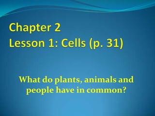 What do plants, animals and
 people have in common?
 