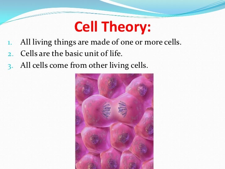 cells grade 6