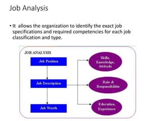 Job Analysis
• It allows the organization to identify the exact job
specifications and required competencies for each job
classification and type.
 