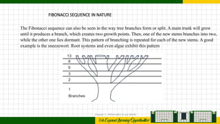 FIBONACCI SEQUENCE, MATHEMATICS IN THE MODERN WORLD | PPTX