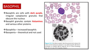 INTRODUCTION TO THE HEMATOLOGY LABORATORY.pdf