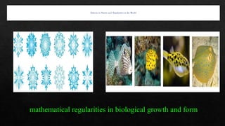 Patterns And Regularities Example PATTERNS AND REGULARITIES IN NATURE 2024 | PPTX