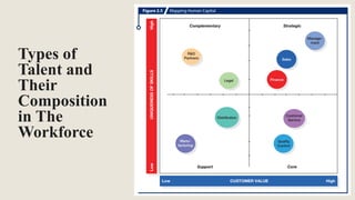 Types of
Talent and
Their
Composition
in The
Workforce
 