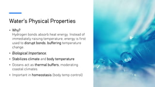 Water’s Physical Properties
• Why?
Hydrogen bonds absorb heat energy. Instead of
immediately raising temperature, energy is first
used to disrupt bonds, buffering temperature
change.
• Biological Importance:
• Stabilizes climate and body temperature
• Oceans act as thermal buffers, moderating
coastal climates
• Important in homeostasis (body temp control)
 
