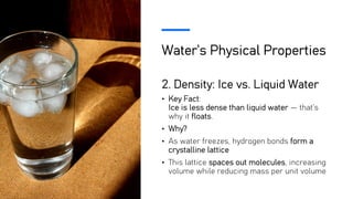 Water’s Physical Properties
2. Density: Ice vs. Liquid Water
• Key Fact:
Ice is less dense than liquid water — that’s
why it floats.
• Why?
• As water freezes, hydrogen bonds form a
crystalline lattice
• This lattice spaces out molecules, increasing
volume while reducing mass per unit volume
 