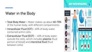 Water in the Body
• Total Body Water - Water makes up about 60-70%
of the human body, with different compartments:
• Intracellular Fluid (ICF) - 60% of body water,
contained within cells.
• Extracellular Fluid (ECF): - 40% of body water,
outside the cells, which includes plasma (fluid
portion of blood) and interstitial fluid (fluid
between cells).
 