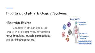 Importance of pH in Biological Systems:
• Electrolyte Balance
Changes in pH can affect the
ionization of electrolytes, influencing
nerve impulses, muscle contractions,
and acid-base buffering.
 