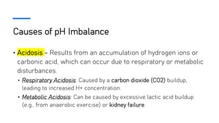 Causes of pH Imbalance
• Acidosis - Results from an accumulation of hydrogen ions or
carbonic acid, which can occur due to respiratory or metabolic
disturbances.
• Respiratory Acidosis: Caused by a carbon dioxide (CO2) buildup,
leading to increased H+ concentration.
• Metabolic Acidosis: Can be caused by excessive lactic acid buildup
(e.g., from anaerobic exercise) or kidney failure.
 