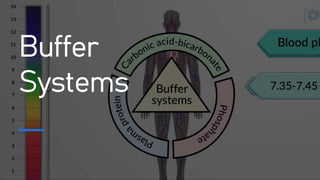 Buffer
Systems
 