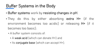 Buffer Systems in the Body
• Buffer systems work by resisting changes in pH.
• They do this by either absorbing extra H+ (if the
environment becomes too acidic) or releasing H+ (if it
becomes too basic).
• A buffer system consists of:
• A weak acid (which can donate H+) and
• Its conjugate base (which can accept H+).
 