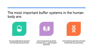 The most important buffer systems in the human
body are:
THE BICARBONATE BUFFER
SYSTEM (BLOOD BUFFER)
THE PHOSPHATE BUFFER
SYSTEM (CELL AND KIDNEY
BUFFER)
THE PROTEIN BUFFER SYSTEM
(PROTEINS AS BUFFERS)
 