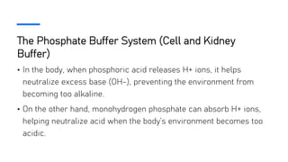 The Phosphate Buffer System (Cell and Kidney
Buffer)
• In the body, when phosphoric acid releases H+ ions, it helps
neutralize excess base (OH-), preventing the environment from
becoming too alkaline.
• On the other hand, monohydrogen phosphate can absorb H+ ions,
helping neutralize acid when the body’s environment becomes too
acidic.
 