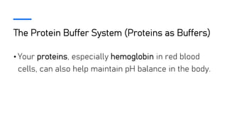 The Protein Buffer System (Proteins as Buffers)
• Your proteins, especially hemoglobin in red blood
cells, can also help maintain pH balance in the body.
 