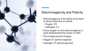Electronegativity and Polarity
• Electronegativity is the ability of an atom
to attract electrons in a bond.
• Oxygen: 3.5
• Hydrogen: 2.1
• Since oxygen is more electronegative, it
pulls shared electrons closer to itself.
• This creates partial charges:
• Oxygen: δ⁻ (partial negative)
• Hydrogen: δ⁺ (partial positive)
 
