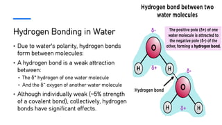 Hydrogen Bonding in Water
• Due to water's polarity, hydrogen bonds
form between molecules:
• A hydrogen bond is a weak attraction
between:
• The δ⁺ hydrogen of one water molecule
• And the δ⁻ oxygen of another water molecule
• Although individually weak (~5% strength
of a covalent bond), collectively, hydrogen
bonds have significant effects.
 