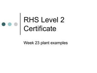Week 23 plant examples | PPT