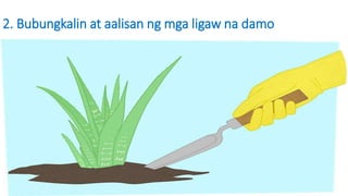 2. Bubungkalin at aalisan ng mga ligaw na damo
 